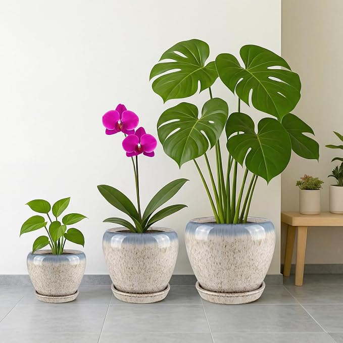 Deep Dream 10 Inch Plant Pot- Ceramic Planter Pot Round Plant Pots - Image 6