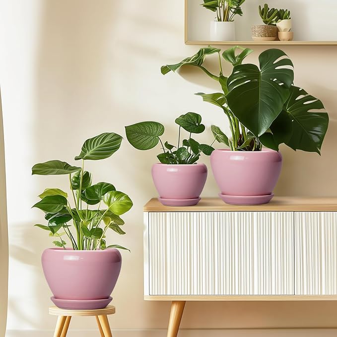Ceramicfor 6 Inch Plant Pot - Image 8