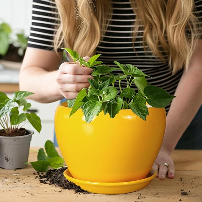Ceramicfor 8 Inch Plant Pot - Image 5