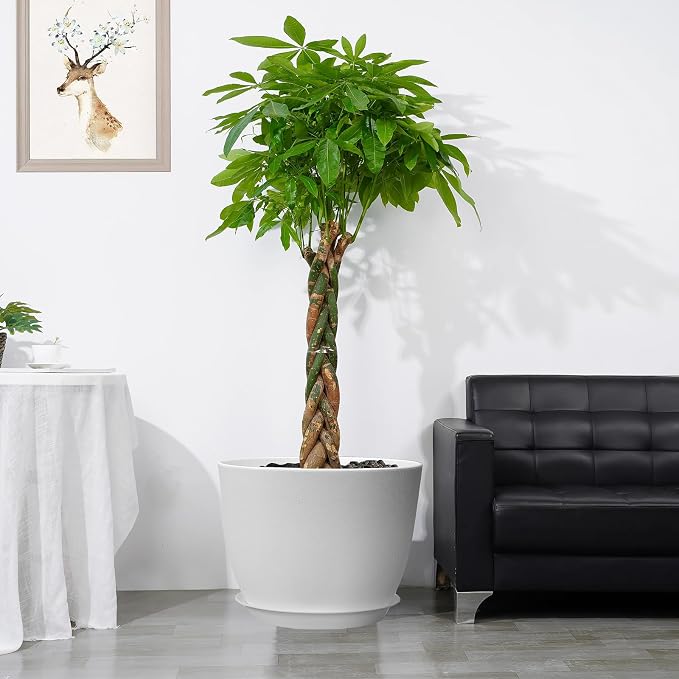 UOUZ 12inch Large Plant Pot, Modern Plastic Planter - Image 6