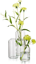 Hewory Modern Glass Bud Vase for Flower: 3PCS Blown Clear Small Vase Bulk | by Hewory