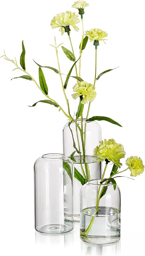 Hewory Modern Glass Bud Vase for Flower: 3PCS Blown Clear Small Vase Bulk | by Hewory