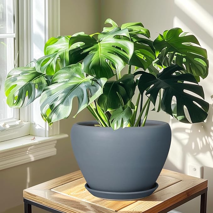 Ceramicfor 10 Inch Plant Pot, Ceramic Planter, Matte Gray | Planter - Image 7