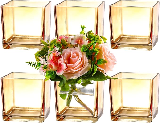 Square Glass Vases Set of 6, Amber Vase by MARTAGE