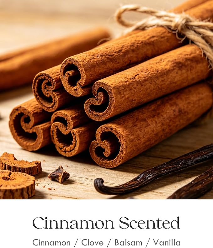 AOOVOO Cinnamon Odor Eliminating Candle - 9 oz Fall Candles - Image 4