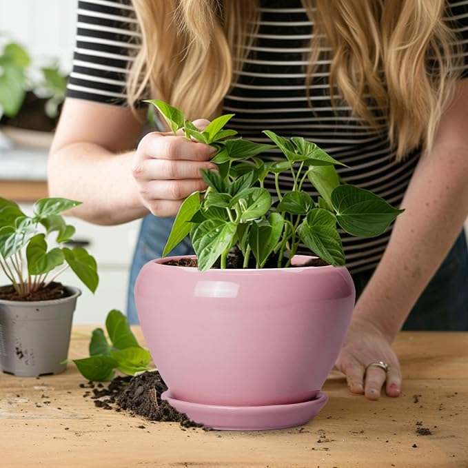 Ceramicfor 6 Inch Plant Pot - Image 6