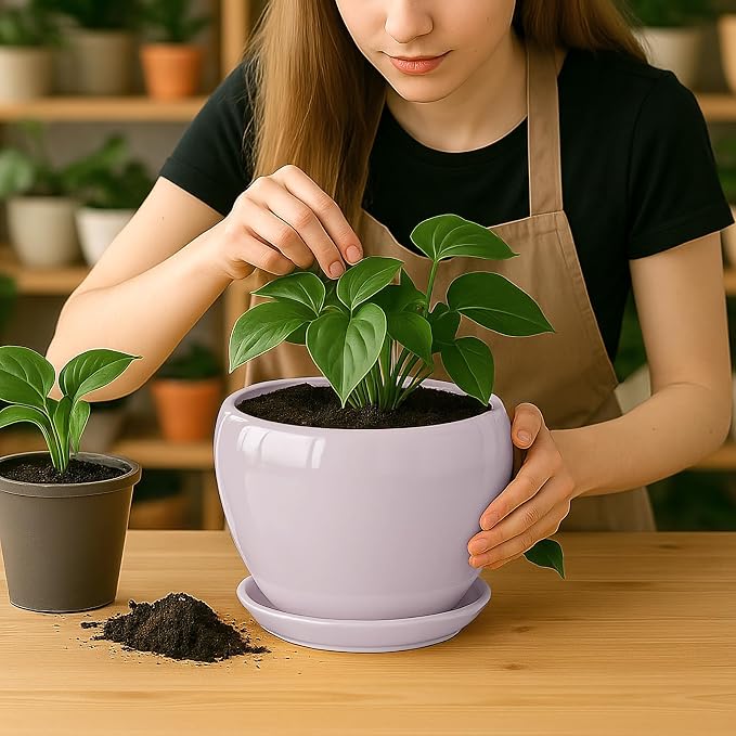 Deep Dream 8 Inch Plant Pots- Ceramic Pots - Image 6