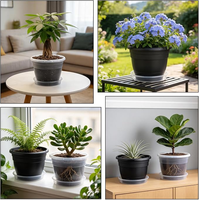 RooTrimmer 8 Inch Clear Nursery Pots - Image 6
