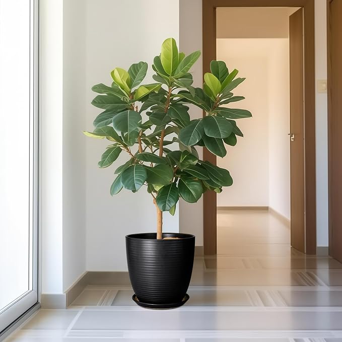 12 Inch Pots for Plants - Image 2