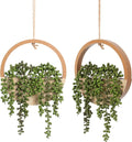 2pcs Artificial Succulents Hanging Plants 20.1'' Fake String of Pearls in Pot by FloweroyalCrafts