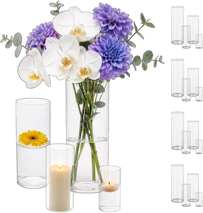 Sandraheer 16 Pack Clear Glass Cylinder Vases by Sandraheer