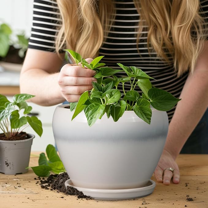 Ceramicfor Ceramic Planter - Image 7