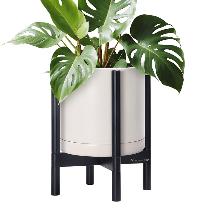D'vine Dev Ceramic Pot with Ebony Wood Stand, 12 in, 55-B-H-8 | Mid-Century by DvineDevPlanterPotsandStand