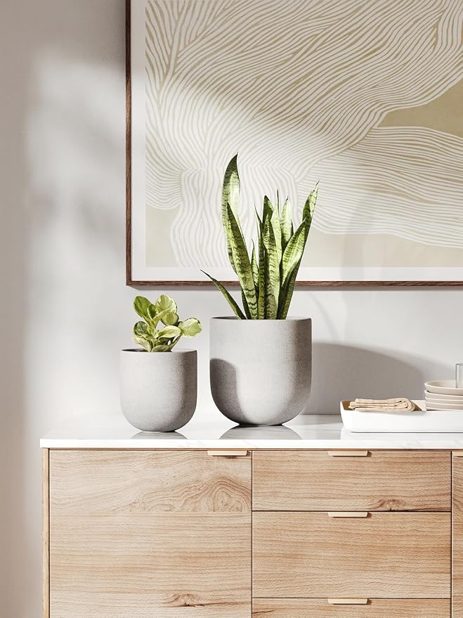 LE TAUCI 6 Inch Plant Pot, Ceramic Planter - Image 4