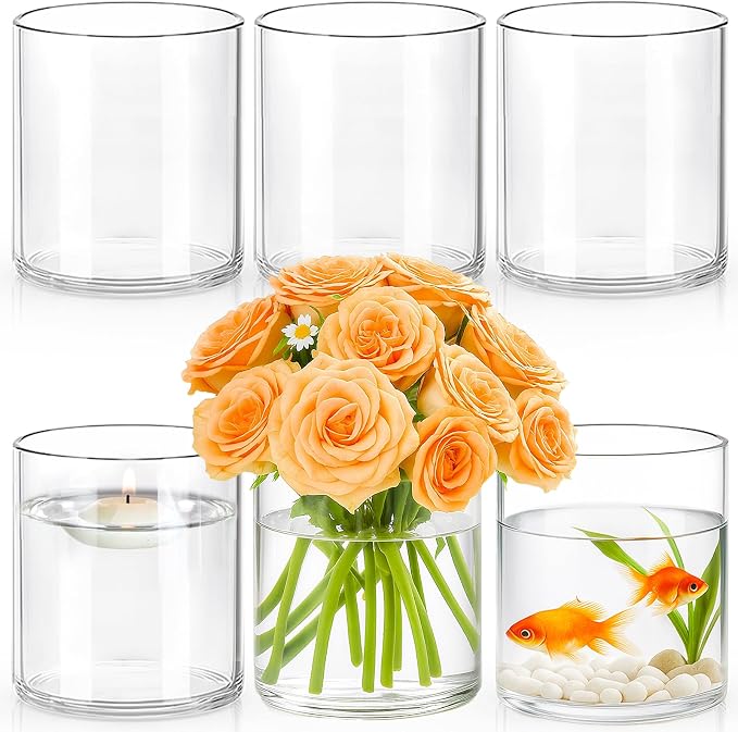 6pcs 6" x 4.7" Clear Glass Cylinder Vases by TBWIND
