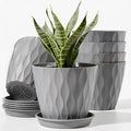 6 Pack Plant Pots with Drainage Holes, 4 Inch Plastic Indoor Flower Pots by Unknown