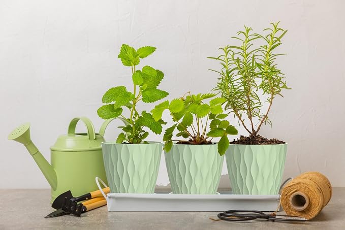 6 Inch Plant Pots, 6 Pack Indoor Flower Pots, Planters - Image 5