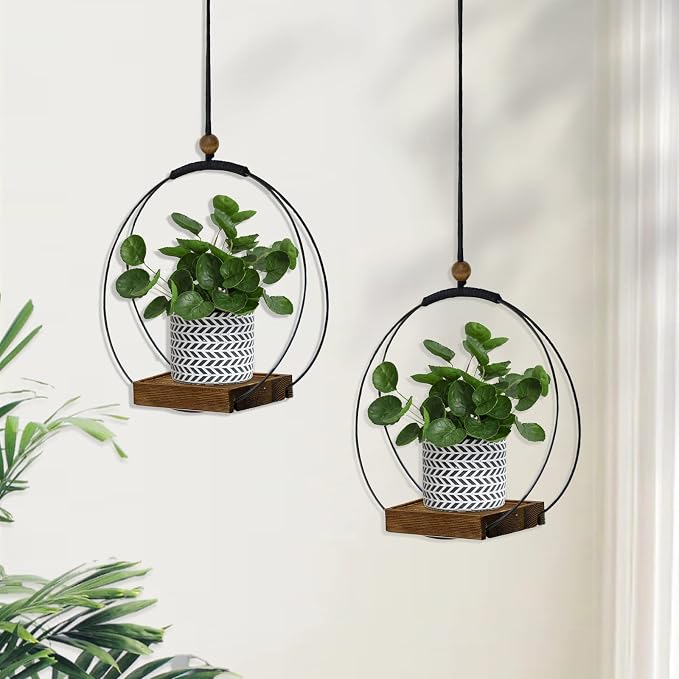 hismocal 2 Pack Hanging Planter - Image 5