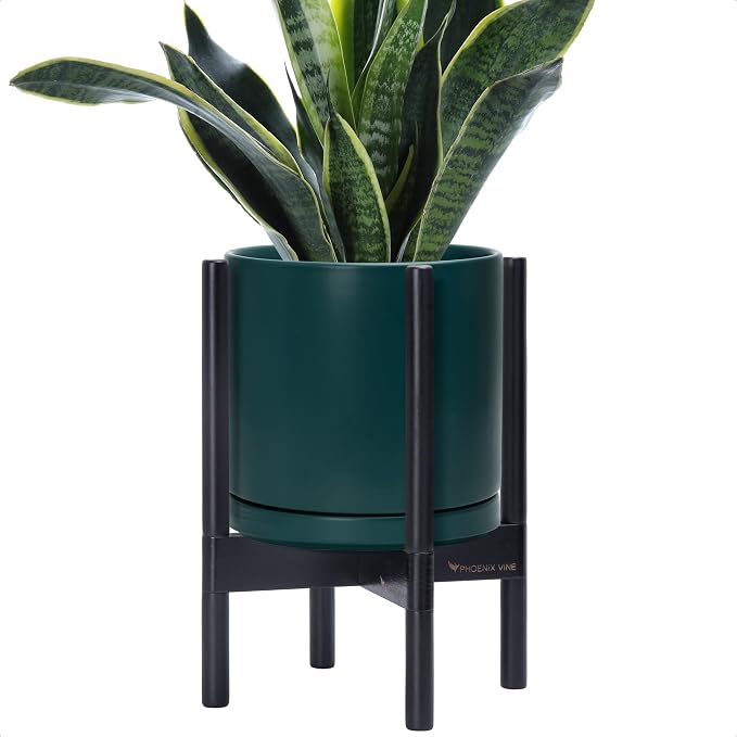 D'vine Dev Ceramic Pot with Ebony Wood Stand, 10 in, 55-B-L-4 | Mid-Century by DvineDevPlanterPotsandStand