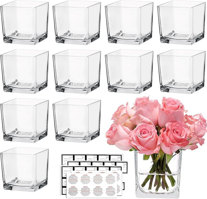 CONNOO 12 Pack 3" x 3" x 3" Clear Square Glass Vase by CONNOO