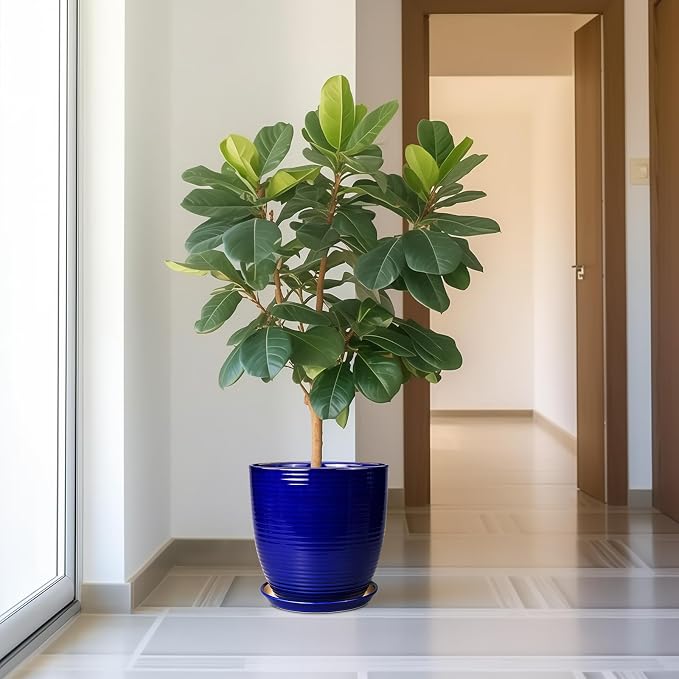 Ceramic Planter Pot - Image 6