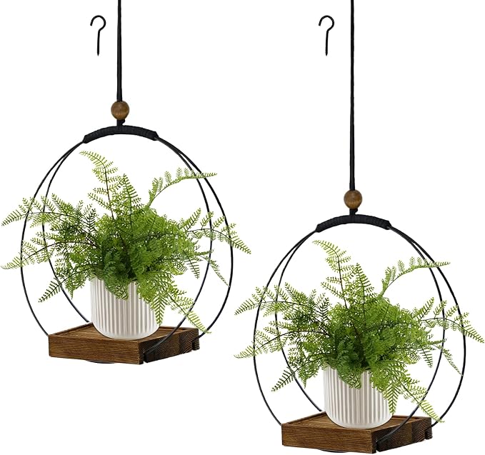 hismocal 2 Pack Hanging Planter by hismocal