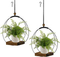 hismocal 2 Pack Hanging Planter by hismocal
