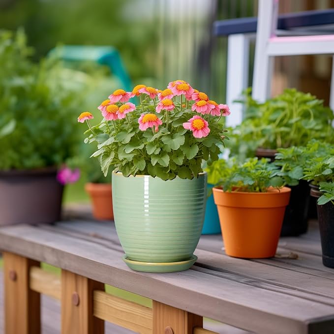 Ceramic Plant Pots - Image 4