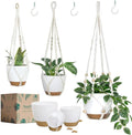 Bouqlife 3 Set Self Watering Hanging Planters by Bouqlife