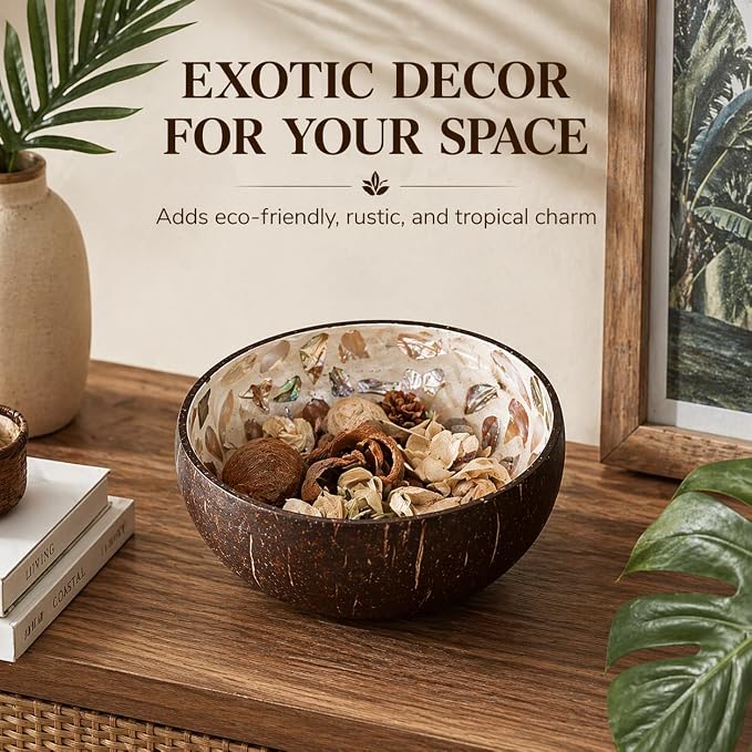 Natural Coconut Bowl Key Decorative - Image 6