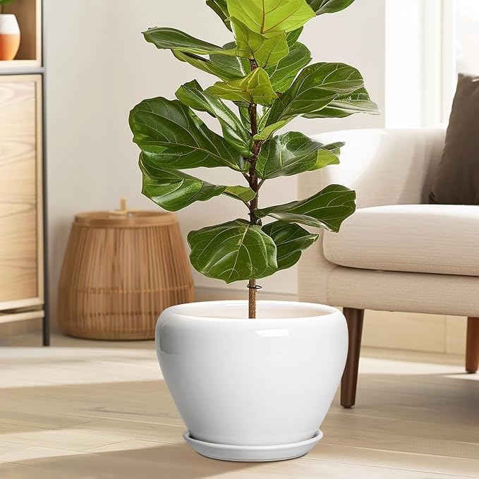 Ceramicfor Ceramic Pot for Plants - Image 2