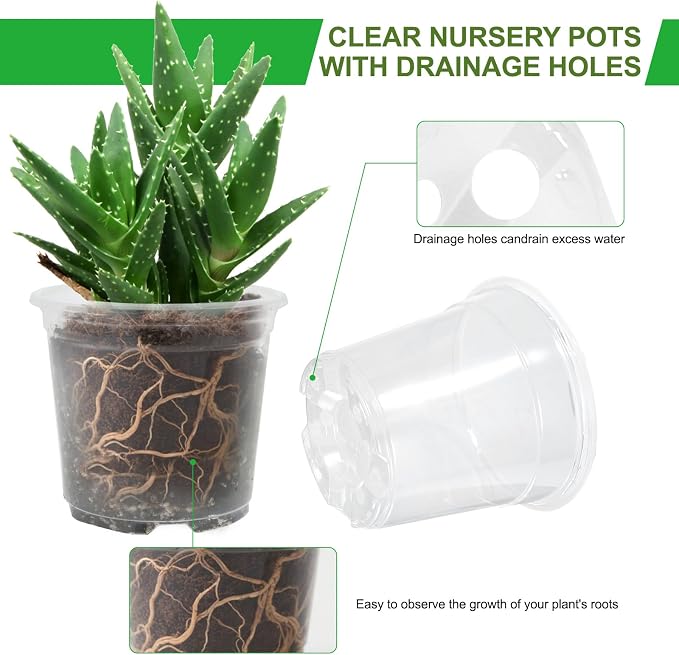 52 Pack 7/6/5/4 Inch Clear Nursery Pots - Image 4