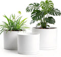 10/9/8 Inch Plant Pots 3 Pack, by Areutxbis