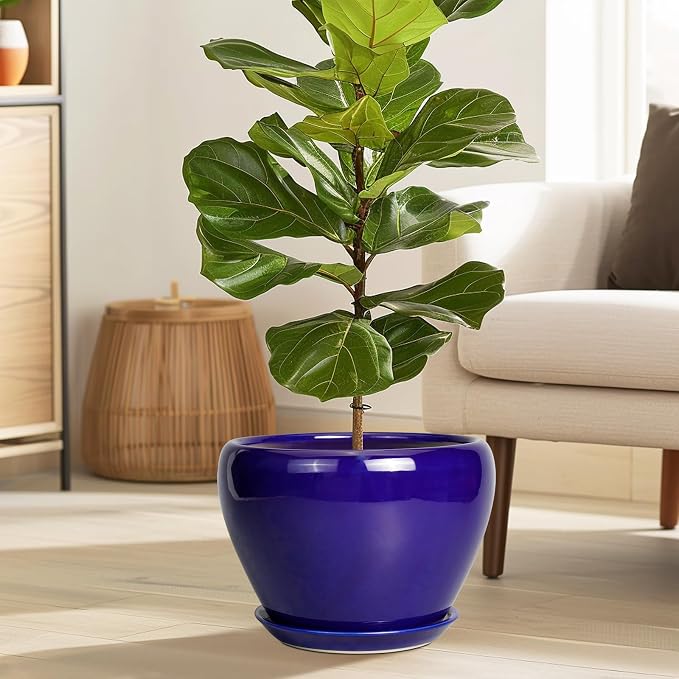 Ceramicfor Ceramic Planter 10 Inch, Indoor Plant Pot - Image 2
