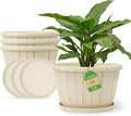 Quarut Plant Planters Pots Set of 4 Pack 16 Inch，Large Plastic Flower Pot | by Quarut