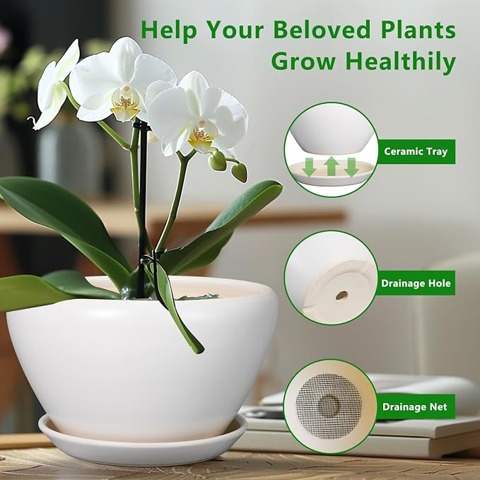 Ceramicfor Planter for Indoor Plants 13 Inch - Image 6