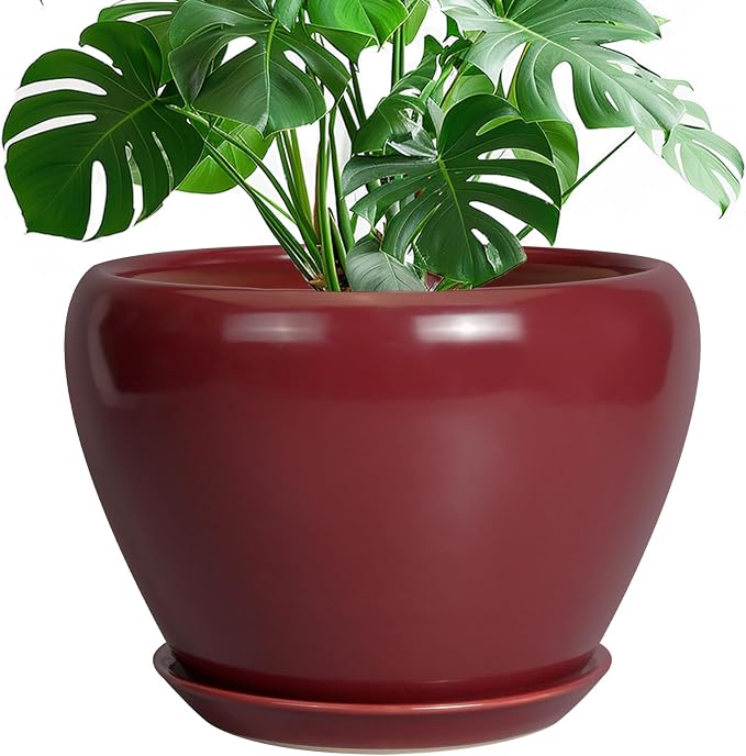 Ceramicfor 10 Inch Plant Pot, Ceramic Planter, Large Planter by Ceramicfor