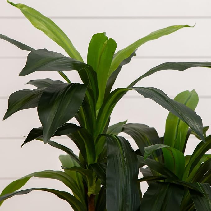 Nearly Natural 48 in Artificial Dracaena Real-Touch Plant - Image 6
