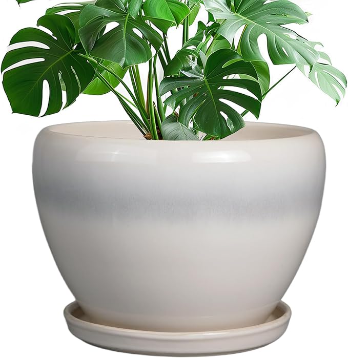 Ceramicfor 10 Inch Ceramic Planter Pot, Cream White | Large Plant Pot by Ceramicfor