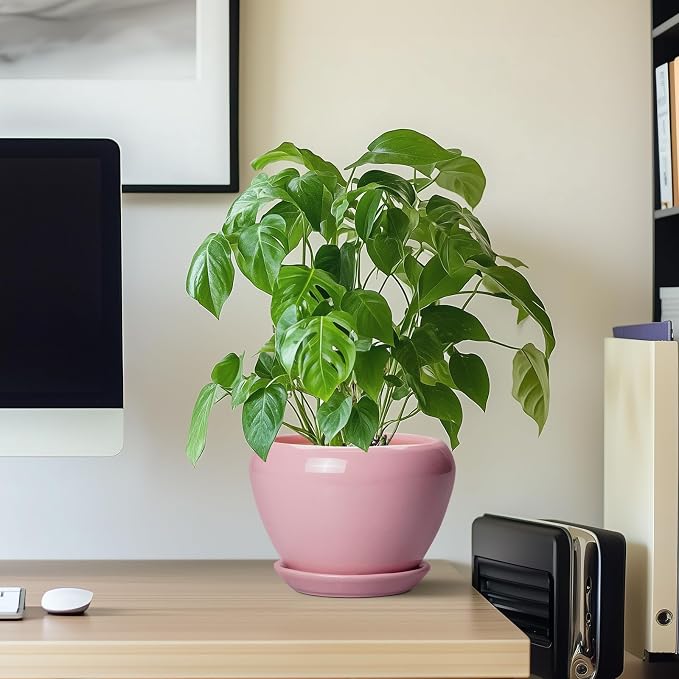 Ceramicfor 6 Inch Plant Pot - Image 7