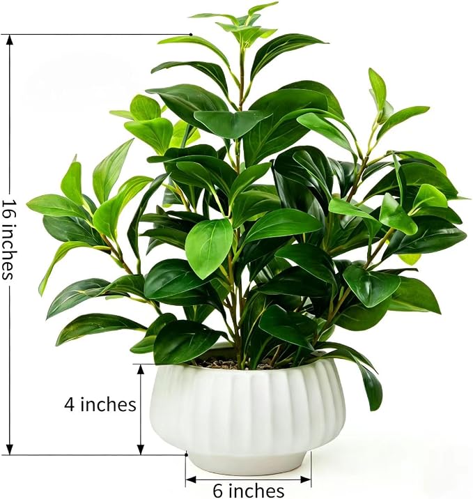 Artificial Peperomia Plants 16” Tall Lifelike Faux Greenery in 6” White Ribbed - Image 2
