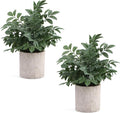 Coferset 2 Pack Small Fake Plants Herb Potted by Coferset
