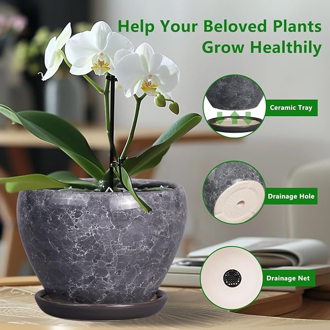 Ceramicfor 8 Inch Plant Pot - Image 5