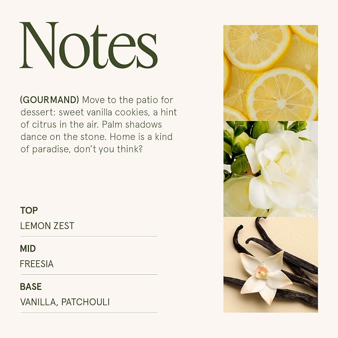 LA JOLIE MUSE Vanilla Zest Scented Candles - Image 4