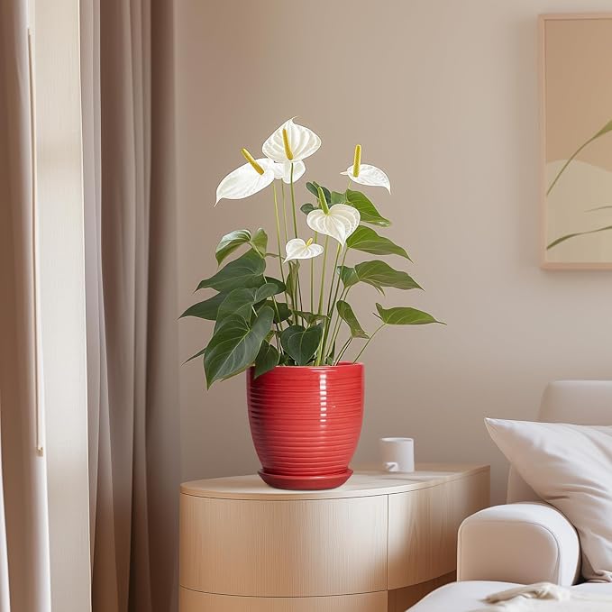 6 Inch Ceramic Plant Pot - Image 8