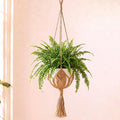 Shappy Boho Macrame Plant Hanger by Shappy
