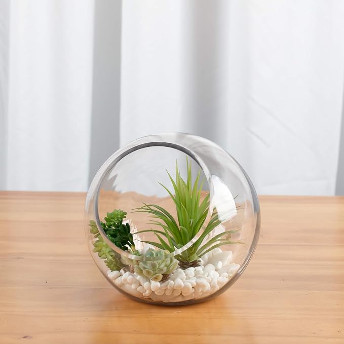WGV Slant Cut Bowl Glass Vase, Width 7.5", Height 7.5", Candy Dish, Fruit Jar - Image 5