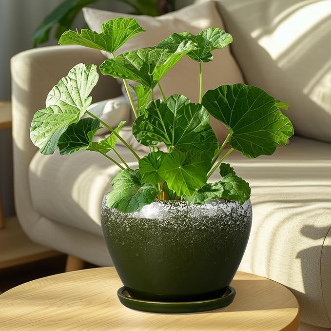 Ceramicfor 8 Inch Plant Pot - Image 2