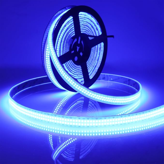 Outdoor 12V Blue LED Strip Lights 16.4ft Double Row Waterproof IP67 | SMD 2835 by LEDENET
