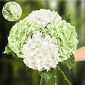 4Pcs Real Touch Hydrangea Artificial Flowers by Waipfaru